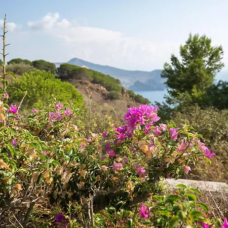 Sealight - Vista E Piscina *