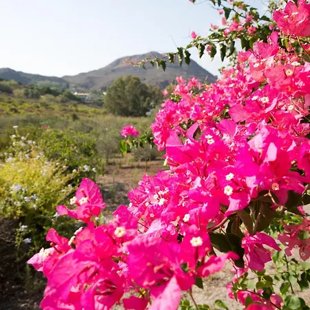 빌라 Sealight - Vista E Piscina *