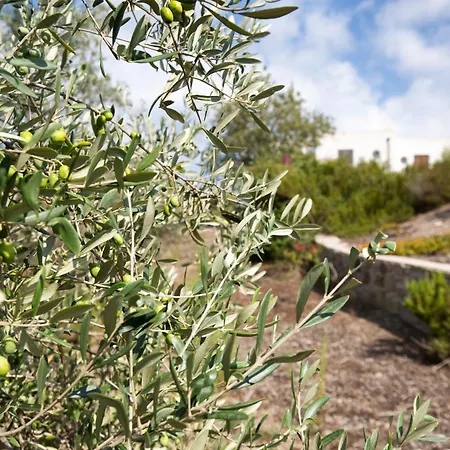 Sealight - Vista E Piscina *