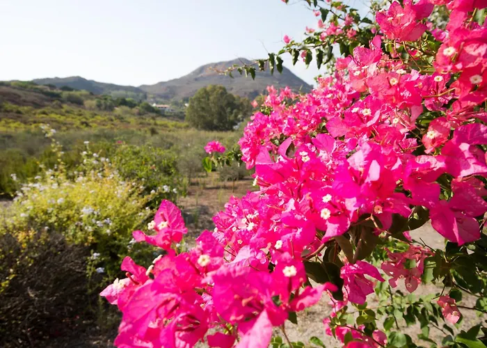 Villa Sealight - Vista E Piscina *