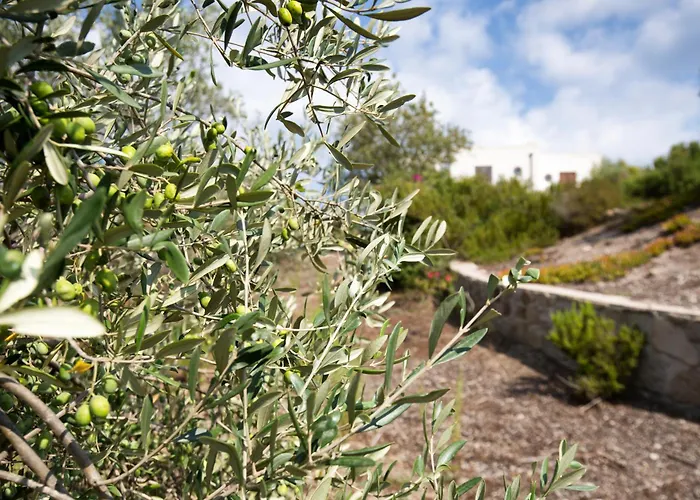 Sealight - Vista E Piscina *